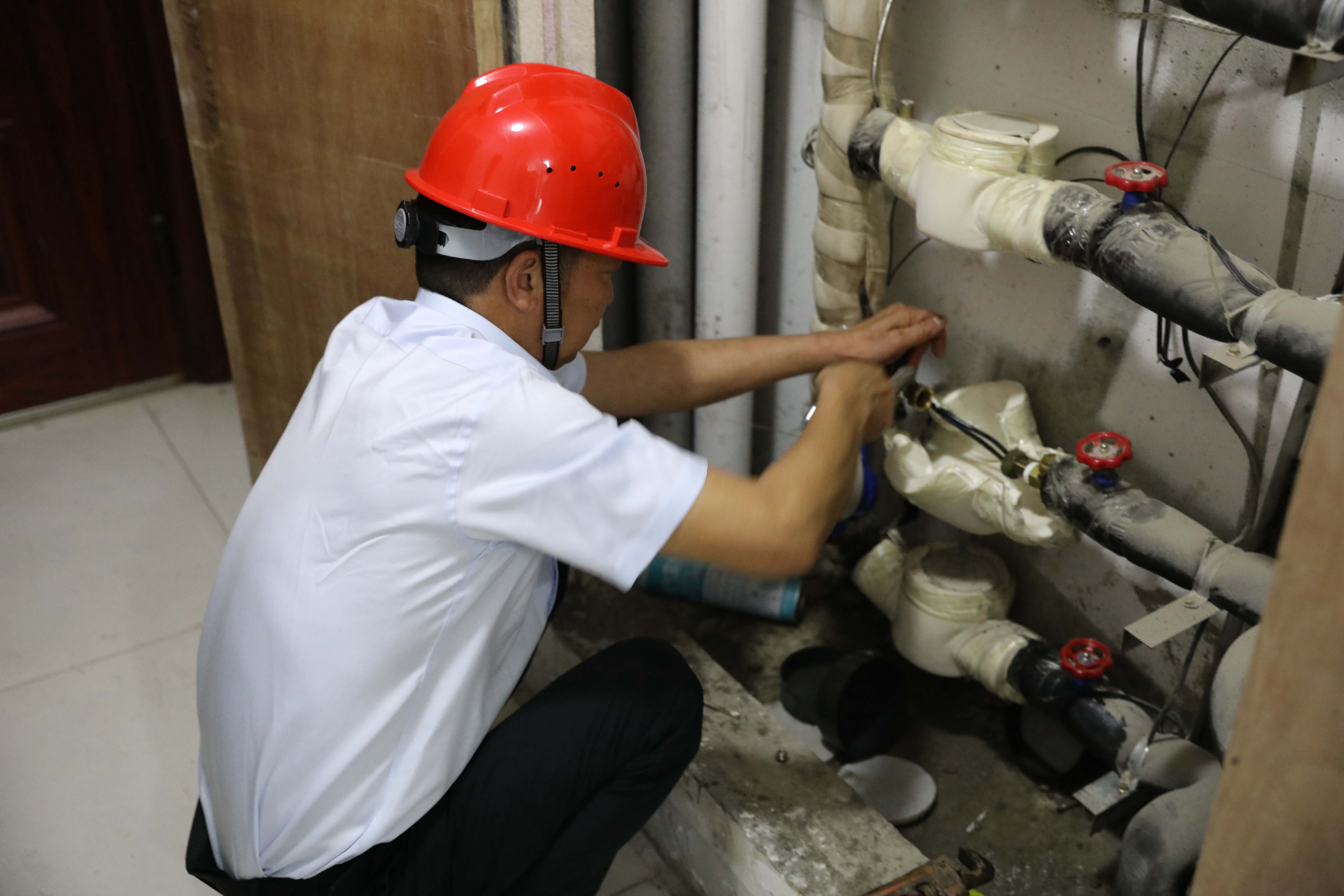 1684225424a607931.jpg 1684225424a607931.jpg