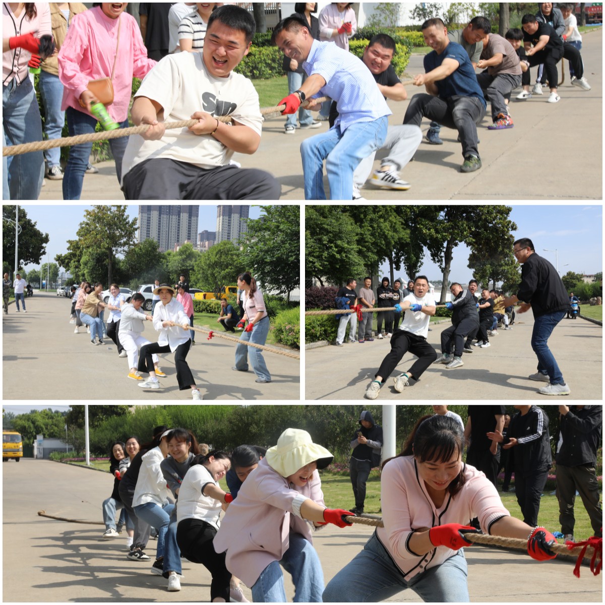 1685067131a255335.jpg 1685067131a255335.jpg