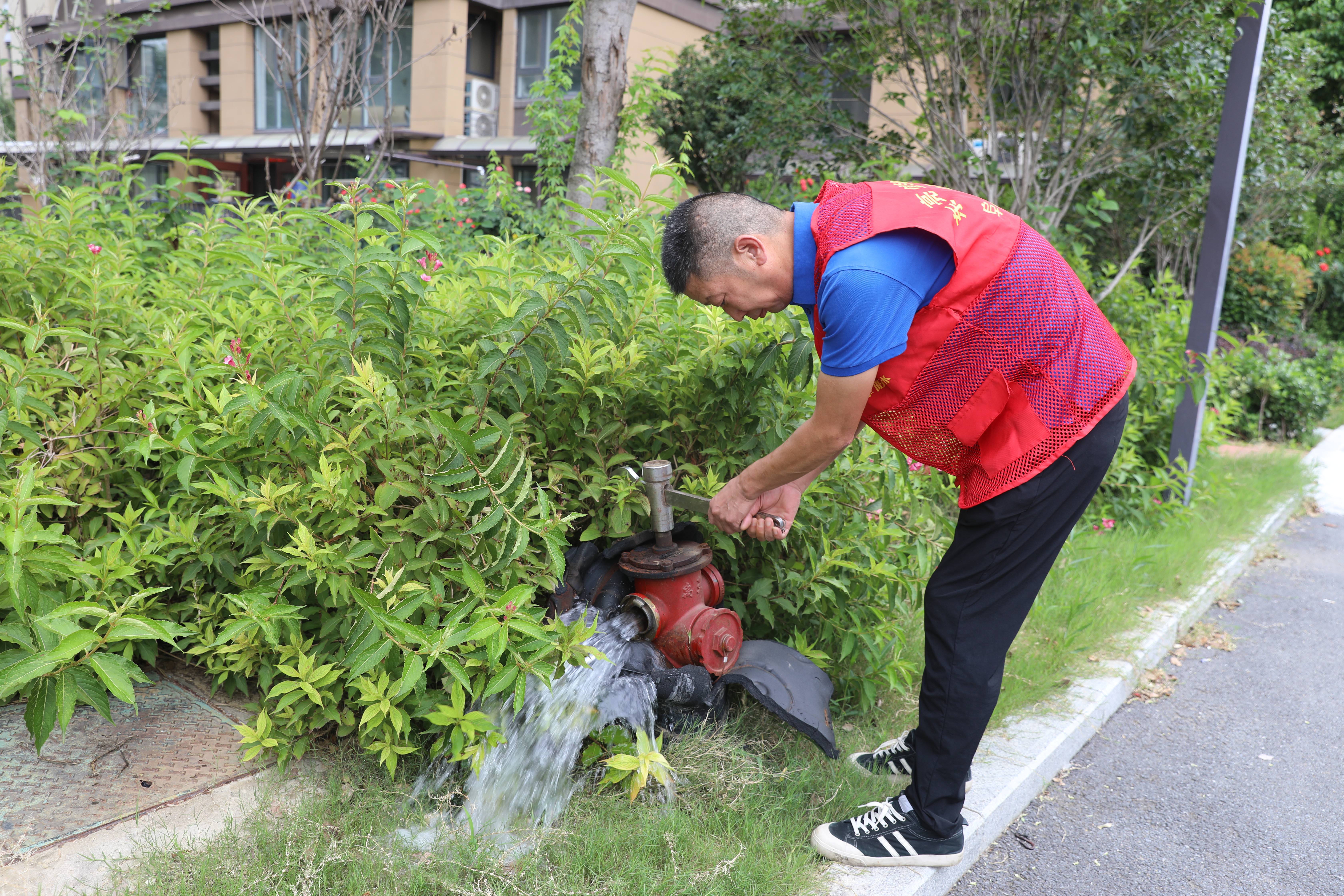 1721726013a260705.jpg 1721726013a260705.jpg