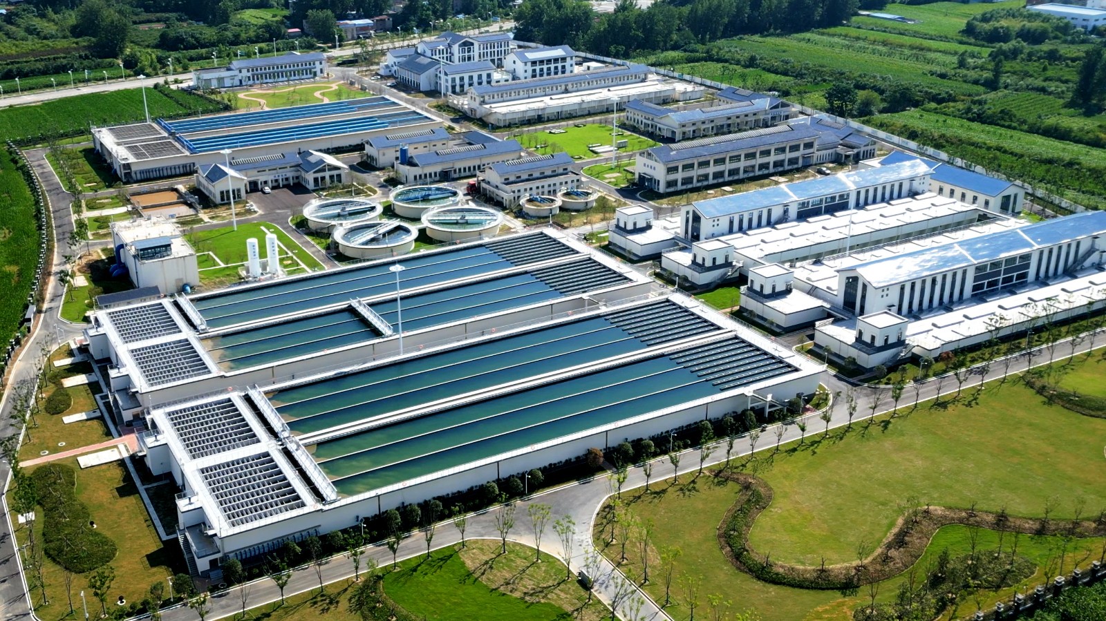 1727659240a910600.jpg 8月3日(8)_副本.jpg