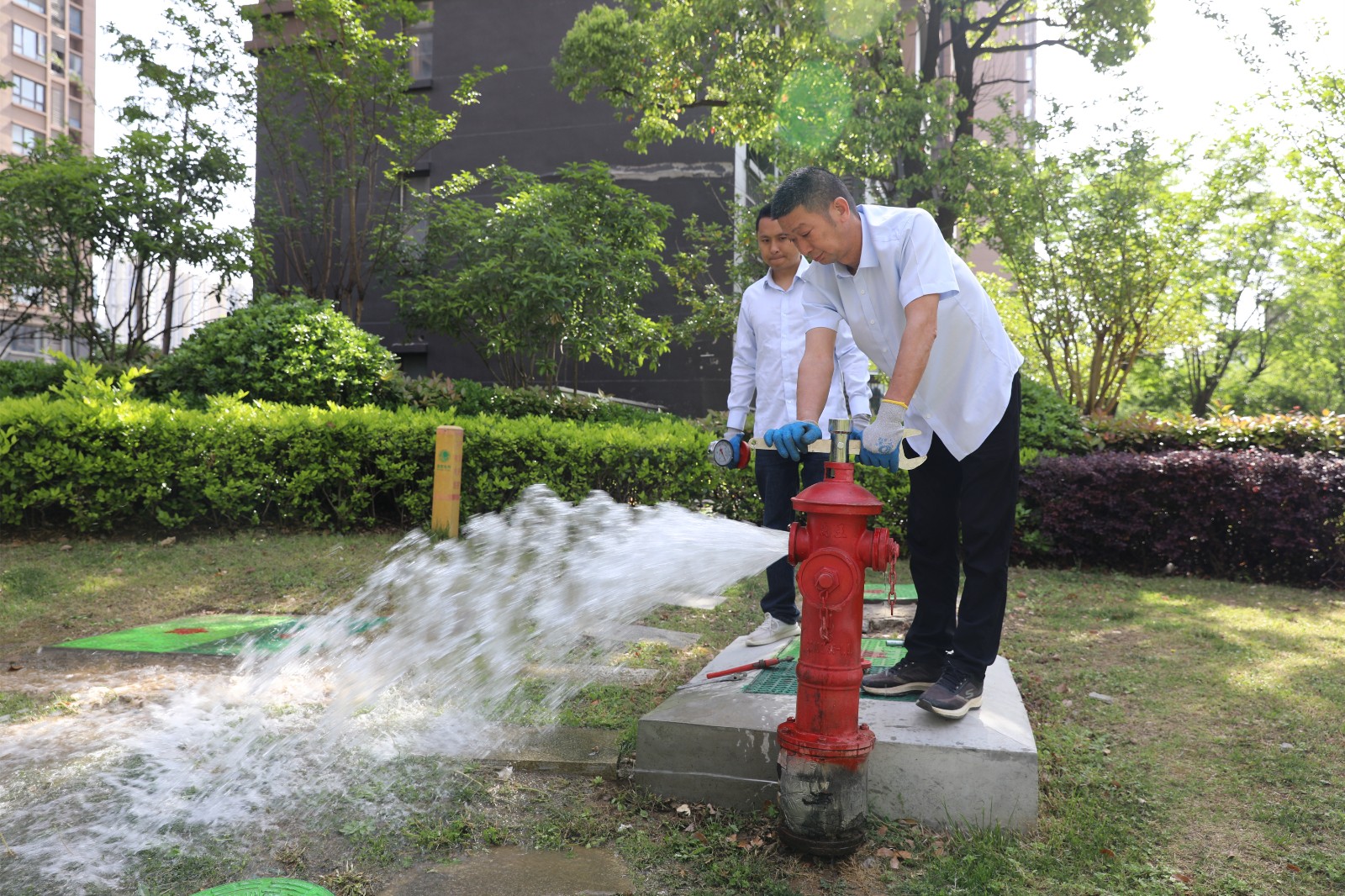 1745479270a833217.jpg 1745479270a833217.jpg