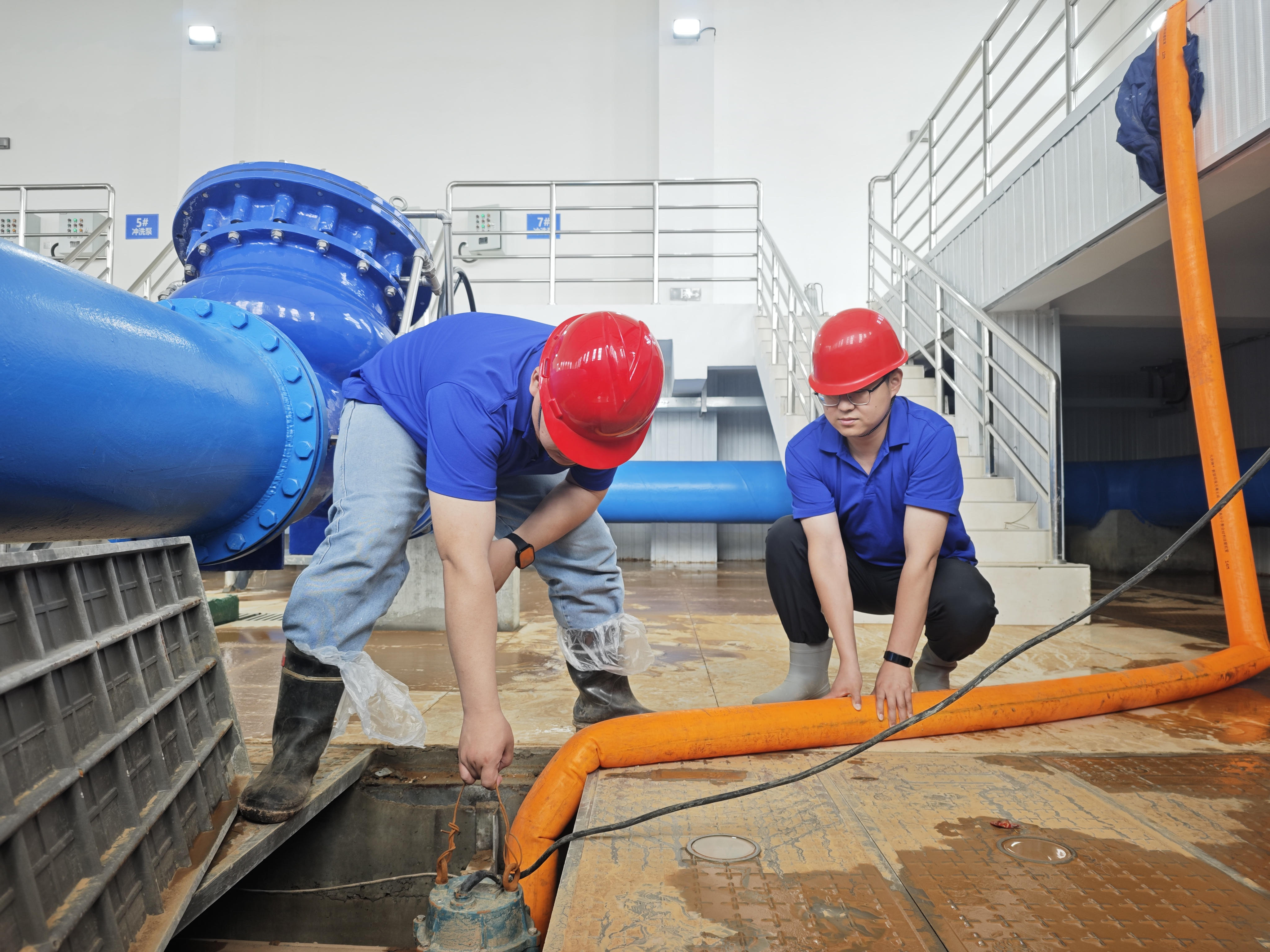 1747989221a656598.jpg 1747989221a656598.jpg