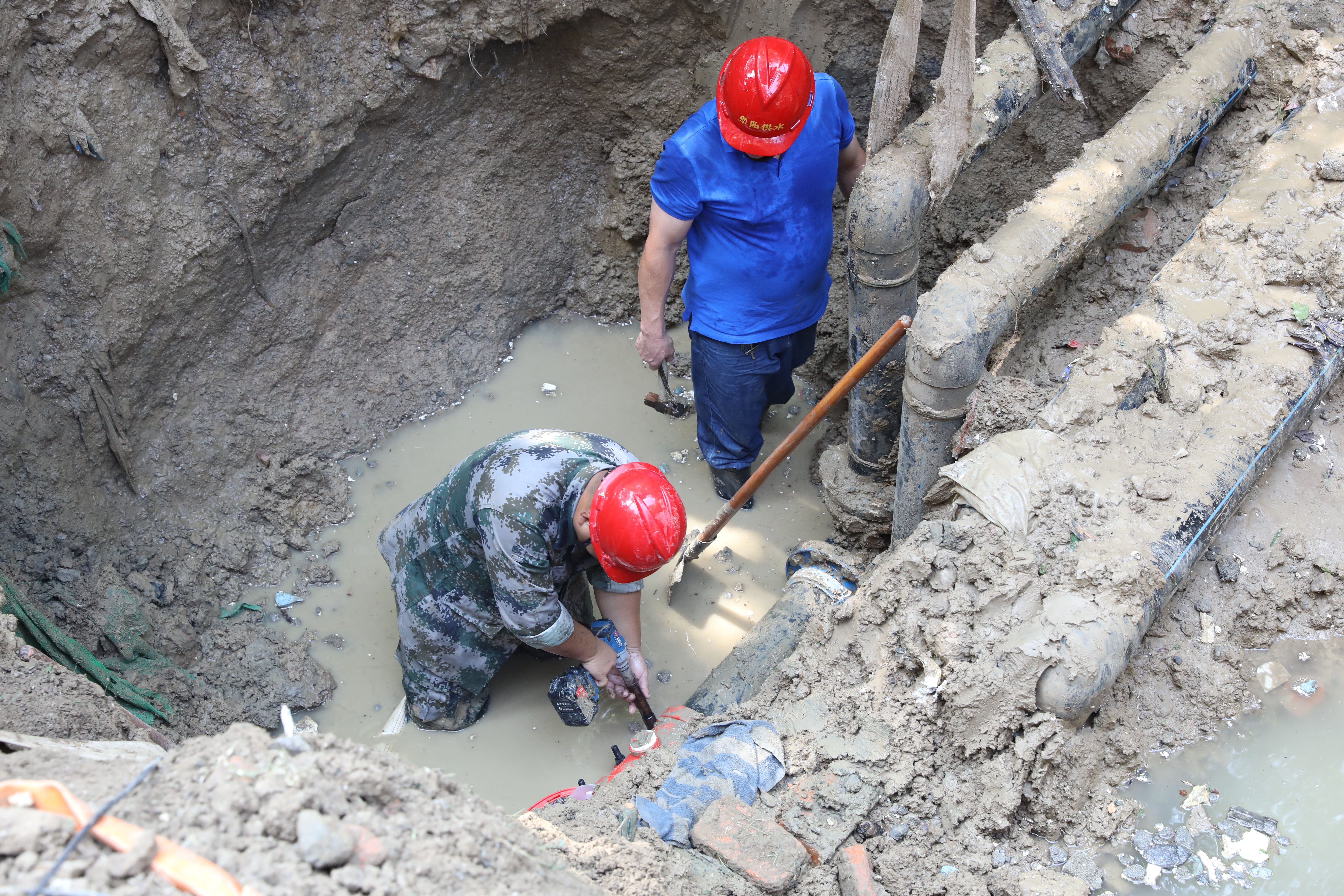 1752829964a500903.jpg 1752829964a500903.jpg